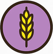 Gluten